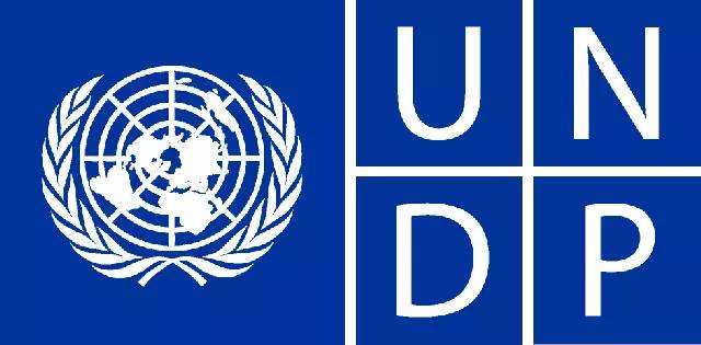 undp.png