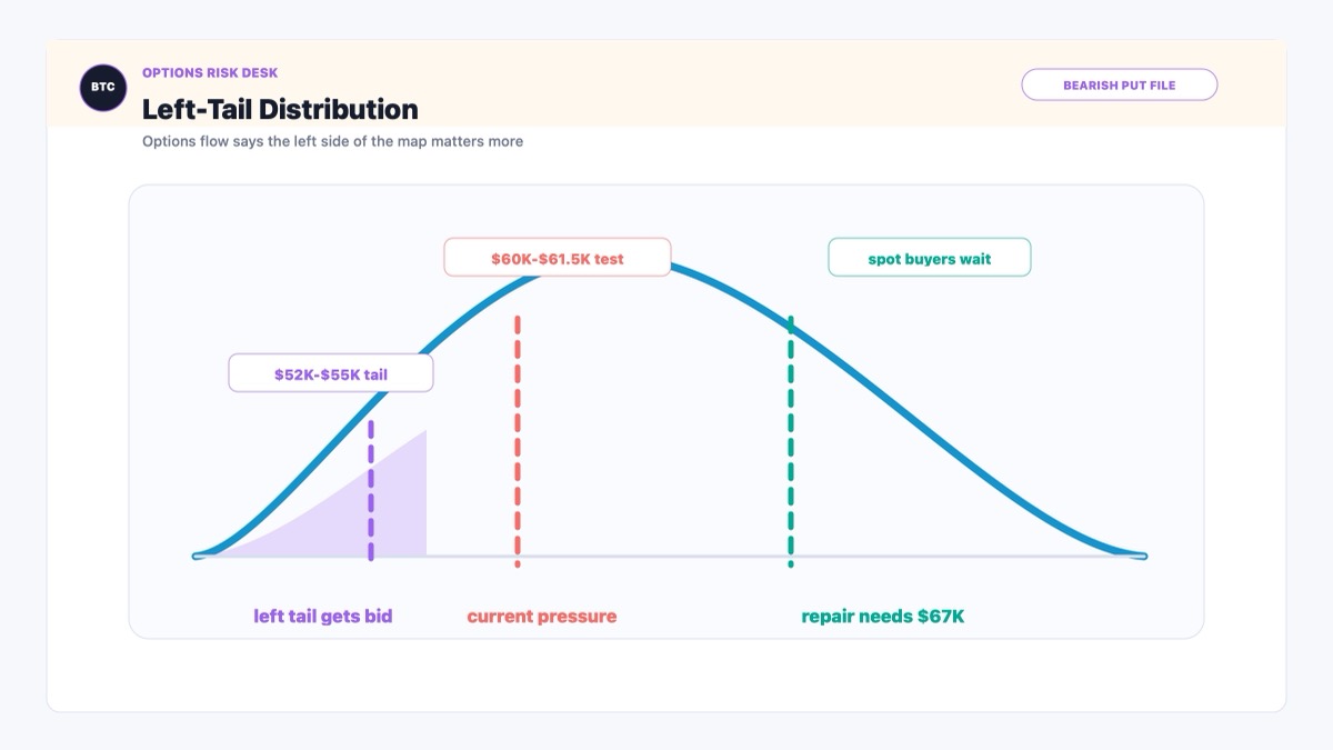 Bitcoin left-tail risk distribution showing bearish put demand and slower dip buying