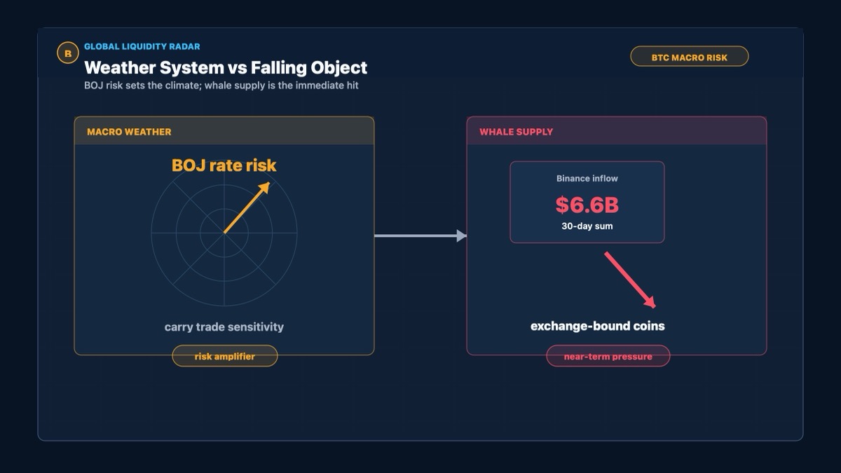 Bitcoin BOJ rate hike risk and whale exchange inflow pressure dashboard