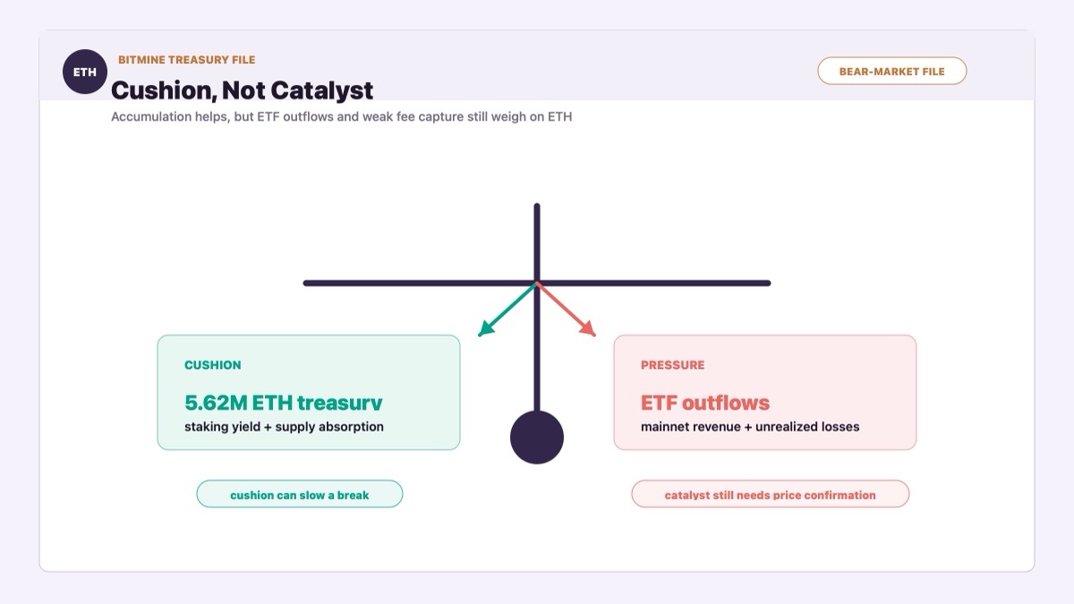 Ethereum market balance showing BitMine accumulation as cushion against ETF outflows and mainnet revenue pressure