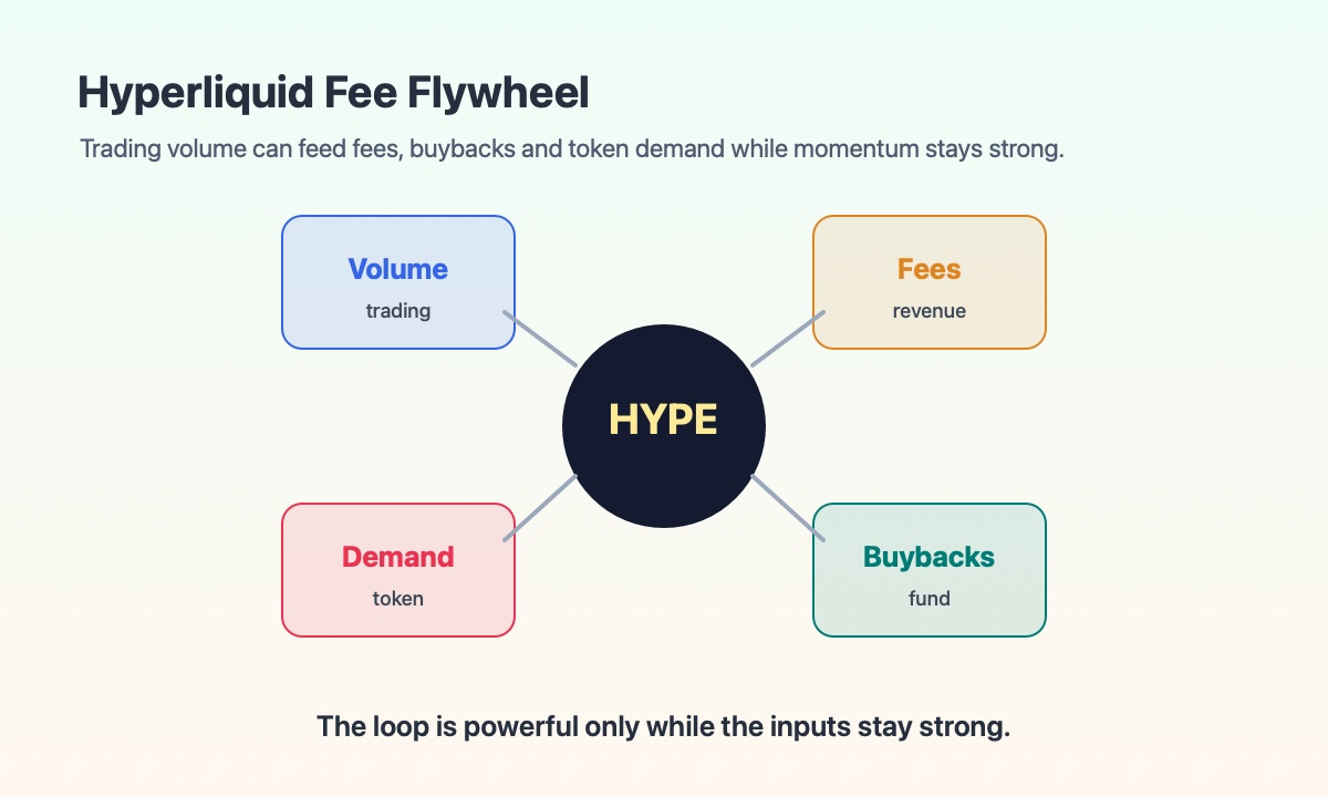 Hyperliquid fee revenue flywheel showing trading activity buybacks and HYPE token demand